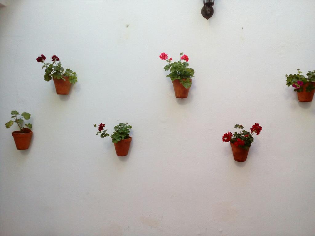 Apartamentos Porvera Jerez Jerez de la Frontera Esterno foto